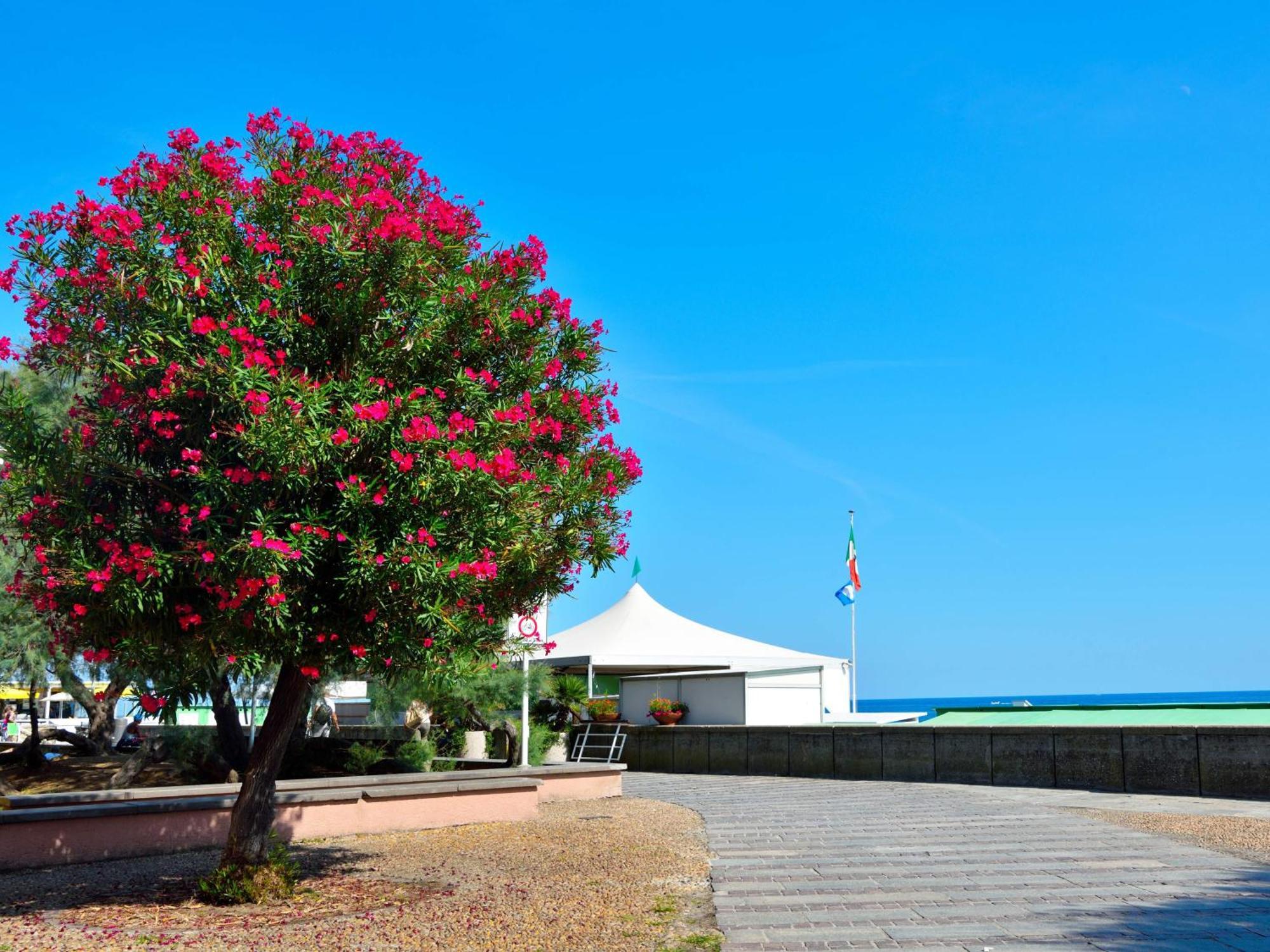 La Bella Vita Marina Beach By Holiday World Альбиссола-Марина Экстерьер фото